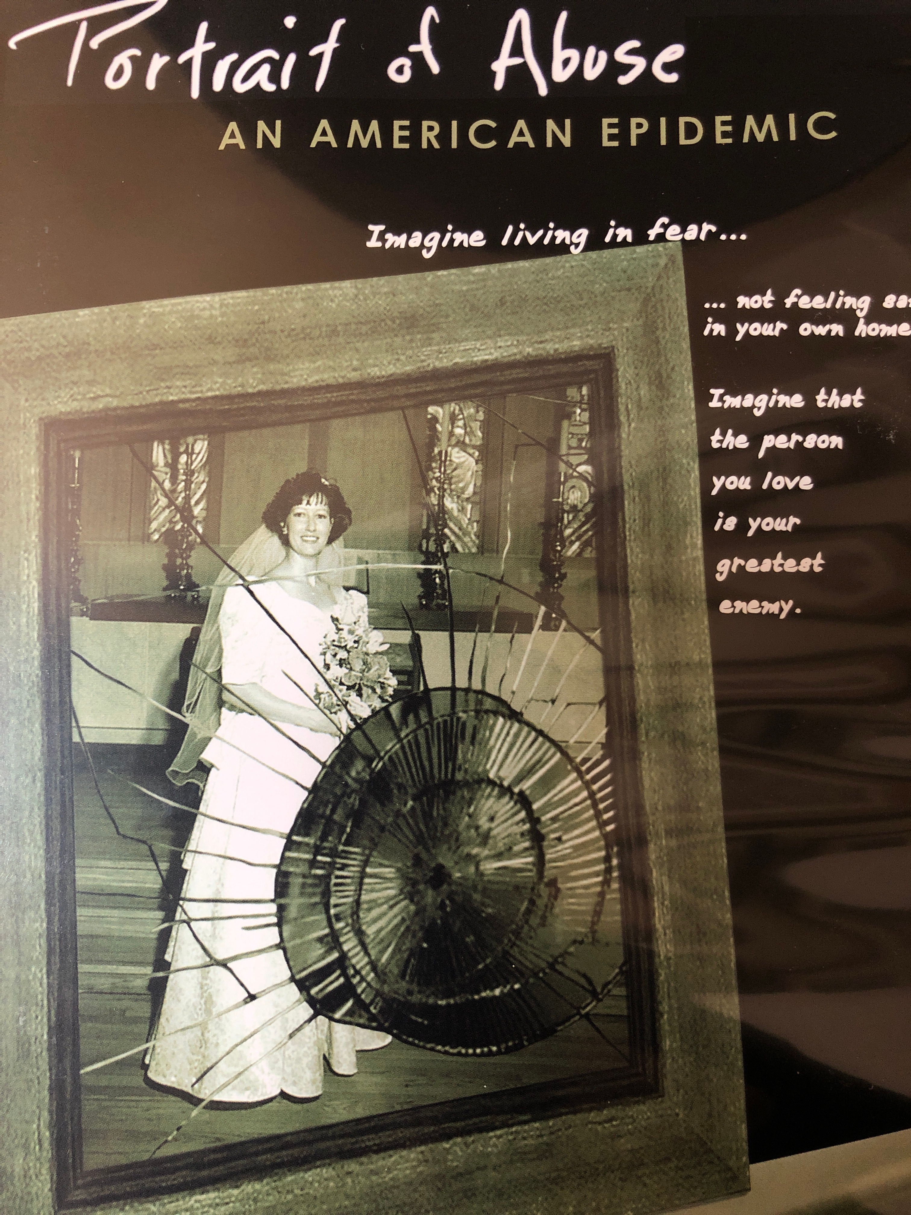 Portrait of Abuse: An American Epidemic